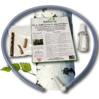 birch sap collection kit